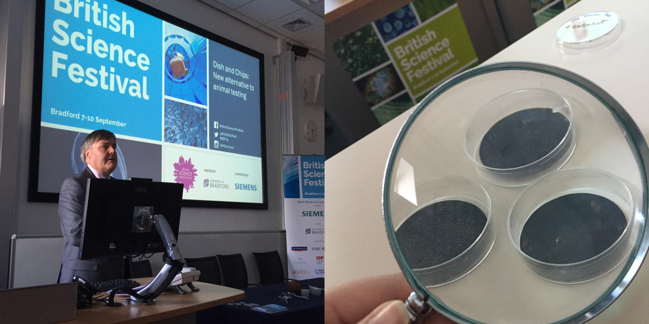 Talks and demonstrations at British Science Festival.